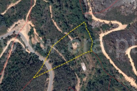 Helårsgrund i Monchique, Faro, Monchique - € 40.000 | Ref: 359250061 - foto 10