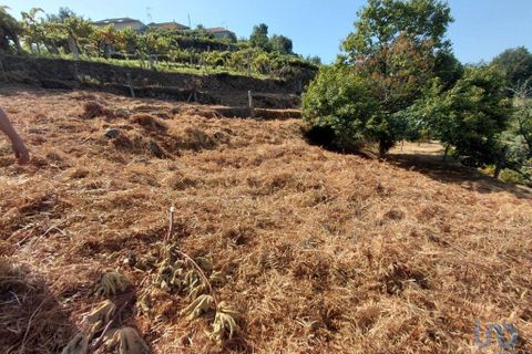 Terra a Melgaco, Viana do Castelo, Melgaco - € 13.000 | Ref: 148000 - foto 2