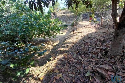 Terra a Melgaco, Viana do Castelo, Melgaco - € 13.000 | Ref: 148000 - foto 3