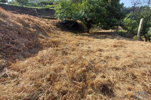 Terra a Melgaco, Viana do Castelo, Melgaco - € 13.000 | Ref: 148000 - foto 5