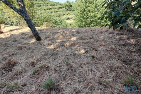 Terra a Melgaco, Viana do Castelo, Melgaco - € 13.000 | Ref: 148000 - foto 6