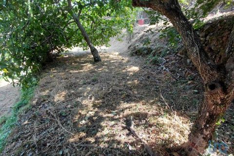 Terra a Melgaco, Viana do Castelo, Melgaco - € 13.000 | Ref: 148000 - foto 7
