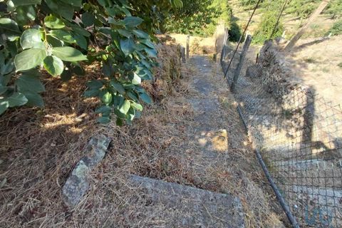 Terra a Melgaco, Viana do Castelo, Melgaco - € 13.000 | Ref: 148000 - foto 8