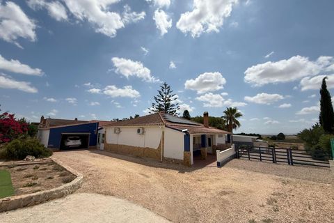 Finca i Torre Pacheco, Murcia, Torre Pacheco - € 550.000 | Ref: OFH-317 - foto 3