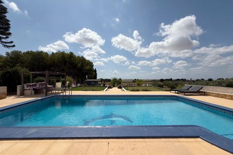 Finca i Torre Pacheco, Murcia, Torre Pacheco - € 550.000 | Ref: OFH-317 - foto 7