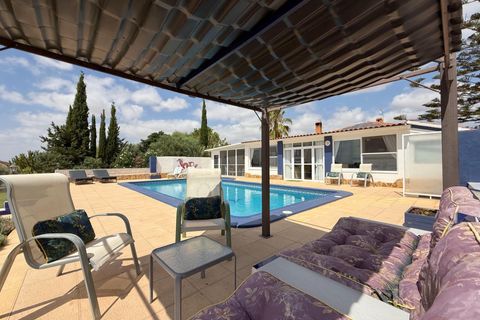 Finca i Torre Pacheco, Murcia, Torre Pacheco - € 550.000 | Ref: OFH-317 - foto 8