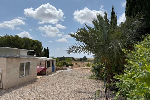 Finca i Torre Pacheco, Murcia, Torre Pacheco - € 550.000 | Ref: OFH-317 - foto 5