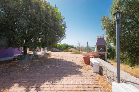 Villa a Monopoli, Bari, Monopoli - € 250.000 | Ref: 9113RV36860 - foto 34