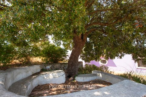Villa a Monopoli, Bari, Monopoli - € 250.000 | Ref: 9113RV36860 - foto 38