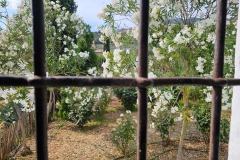 Landejendom i Rute, Cordoba, Rute - € 325.000 | Ref: Ella - foto 33