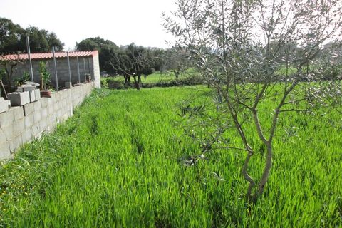 Helårsgrund i Fatima, Santarem, Fatima - € 116.000 | Ref: CV11010-4 - foto 3