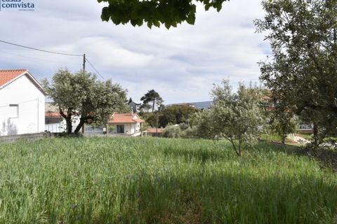 Helårsgrund i Fatima, Santarem, Fatima - € 116.000 | Ref: CV11010-4 - foto 6