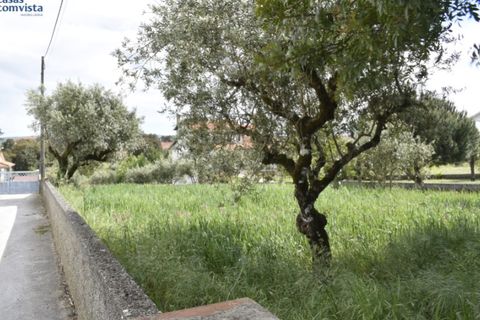 Helårsgrund i Fatima, Santarem, Fatima - € 116.000 | Ref: CV11010-4 - foto 8