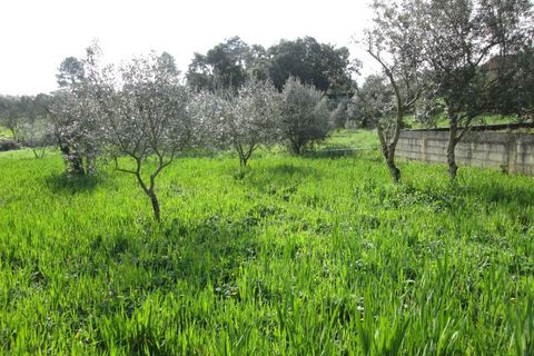 Helårsgrund i Fatima, Santarem, Fatima - € 116.000 | Ref: CV11010-4 - foto 4