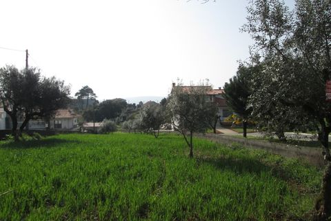 Helårsgrund i Fatima, Santarem, Fatima - € 116.000 | Ref: CV11010-4 - foto 9