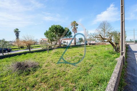 Helårsgrund i Fatima, Santarem, Fatima - € 116.000 | Ref: CV11010-4 - foto 2