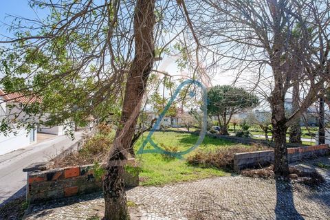 Helårsgrund i Fatima, Santarem, Fatima - € 116.000 | Ref: CV11010-4 - foto 13
