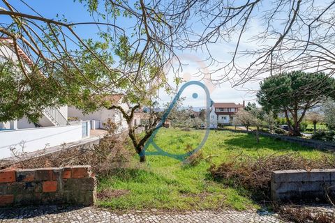Helårsgrund i Fatima, Santarem, Fatima - € 116.000 | Ref: CV11010-4 - foto 14