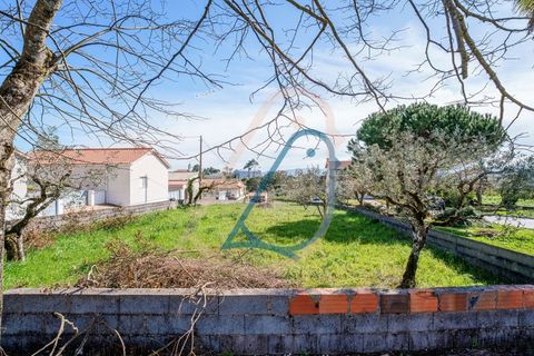Helårsgrund i Fatima, Santarem, Fatima - € 116.000 | Ref: CV11010-4 - foto 16