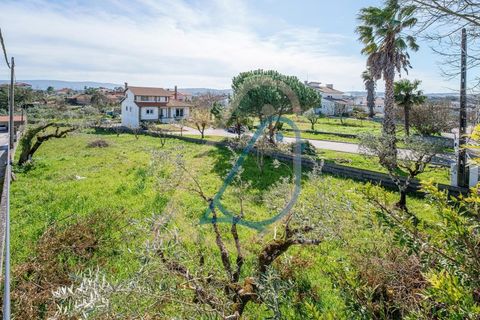 Helårsgrund i Fatima, Santarem, Fatima - € 116.000 | Ref: CV11010-4 - foto 19