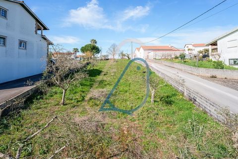 Helårsgrund i Fatima, Santarem, Fatima - € 116.000 | Ref: CV11010-4 - foto 21