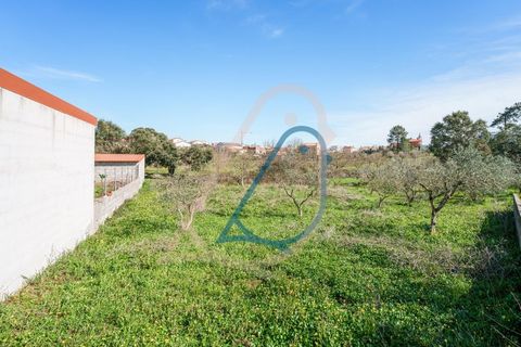 Helårsgrund i Fatima, Santarem, Fatima - € 116.000 | Ref: CV11010-4 - foto 22