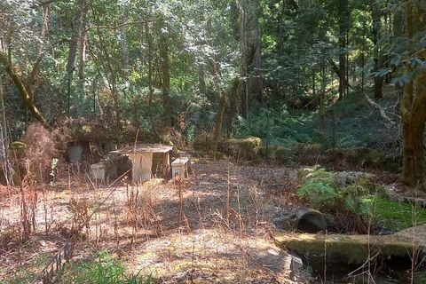 Helårsgrund i Valenca, Viana do Castelo, Valenca - € 32.000 | Ref: SF-SAFTI:007181 - foto 5