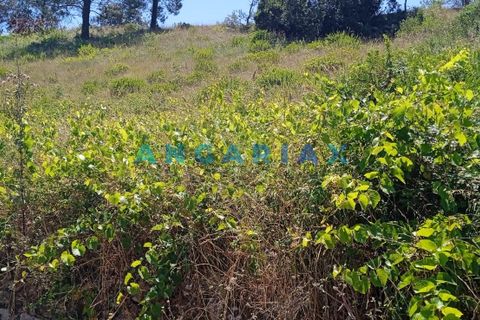 Terra a Batalha, Leiria, Batalha - € 72.500 | Ref: ANG1460 - foto 2