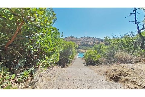 Villa i Almodovar, Beja, Almodovar - € 369.000 | Ref: 01. NM - foto 6