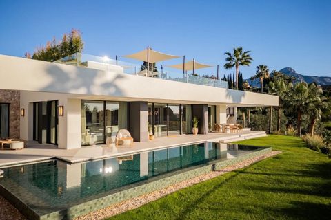Villa in Nueva Andalucia, Malaga - photo 1