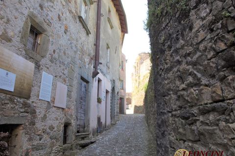 Masia a Bagnone, Massa and Carrara, Bagnone - € 53.000 | Ref: A400 - foto 12