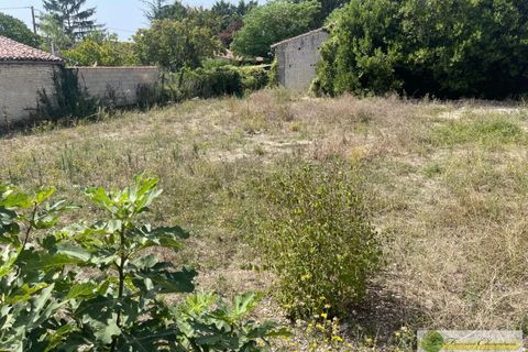 Terra a Mons, Charente, Mons - € 16.800 | Ref: 9835 - foto 2