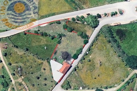 Erhvervsejendom i Freixianda, Santarem, Freixianda - € 158.000 | Ref: CAS_768 - foto 5