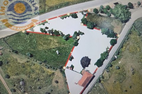Erhvervsejendom i Freixianda, Santarem, Freixianda - € 158.000 | Ref: CAS_768 - foto 6