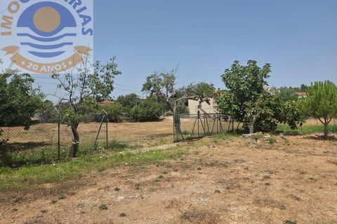 Erhvervsejendom i Freixianda, Santarem, Freixianda - € 158.000 | Ref: CAS_768 - foto 11