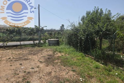 Erhvervsejendom i Freixianda, Santarem, Freixianda - € 158.000 | Ref: CAS_768 - foto 12