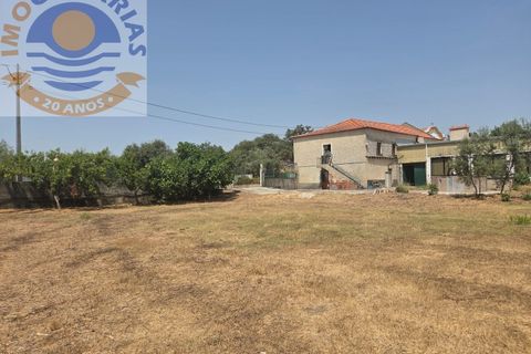 Erhvervsejendom i Freixianda, Santarem, Freixianda - € 158.000 | Ref: CAS_768 - foto 13