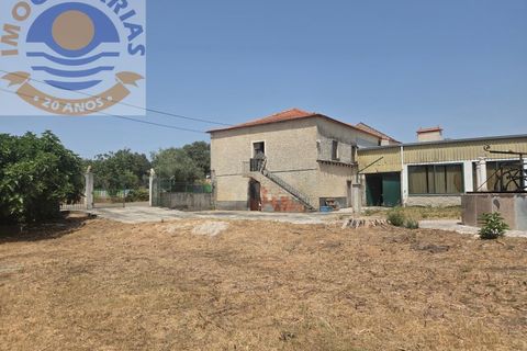 Erhvervsejendom i Freixianda, Santarem, Freixianda - € 158.000 | Ref: CAS_768 - foto 14