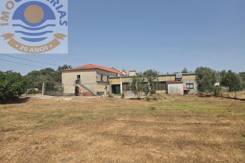 Erhvervsejendom i Freixianda, Santarem, Freixianda - € 158.000 | Ref: CAS_768 - foto 15