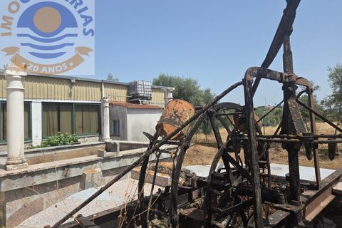 Erhvervsejendom i Freixianda, Santarem, Freixianda - € 158.000 | Ref: CAS_768 - foto 17