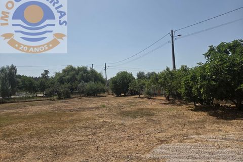 Erhvervsejendom i Freixianda, Santarem, Freixianda - € 158.000 | Ref: CAS_768 - foto 18
