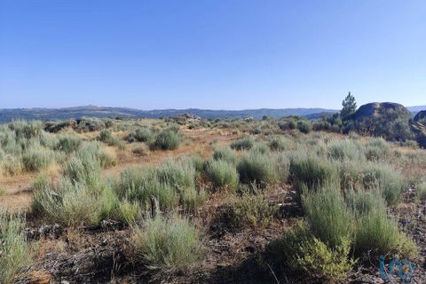 Terra a Sernancelhe, Viseu, Sernancelhe - € 60.000 | Ref: 147141 - foto 2