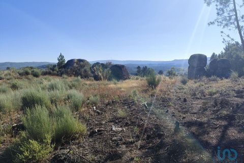 Terra a Sernancelhe, Viseu, Sernancelhe - € 60.000 | Ref: 147141 - foto 3