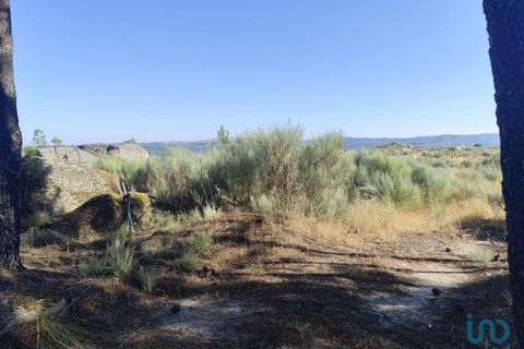 Terra a Sernancelhe, Viseu, Sernancelhe - € 60.000 | Ref: 147141 - foto 4