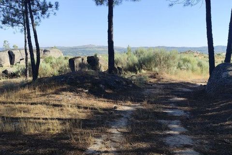 Terra a Sernancelhe, Viseu, Sernancelhe - € 60.000 | Ref: 147141 - foto 5