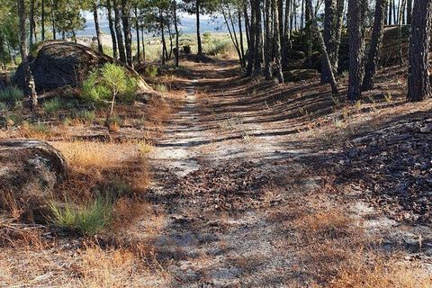 Terra a Sernancelhe, Viseu, Sernancelhe - € 60.000 | Ref: 147141 - foto 6