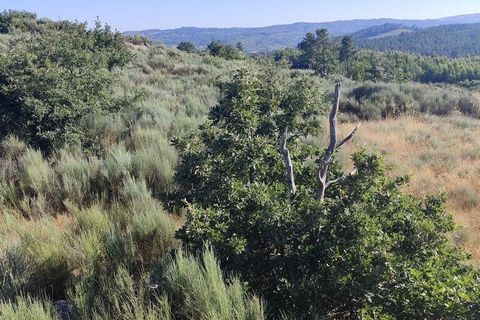 Terra a Sernancelhe, Viseu, Sernancelhe - € 60.000 | Ref: 147141 - foto 7