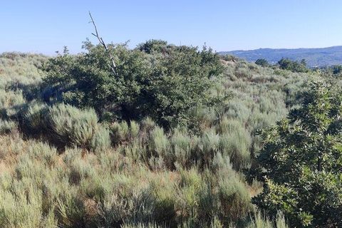 Terra a Sernancelhe, Viseu, Sernancelhe - € 60.000 | Ref: 147141 - foto 8