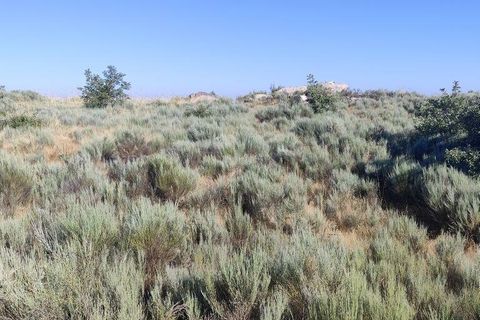 Terra a Sernancelhe, Viseu, Sernancelhe - € 60.000 | Ref: 147141 - foto 9