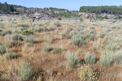 Terra a Sernancelhe, Viseu, Sernancelhe - € 60.000 | Ref: 147141 - foto 10